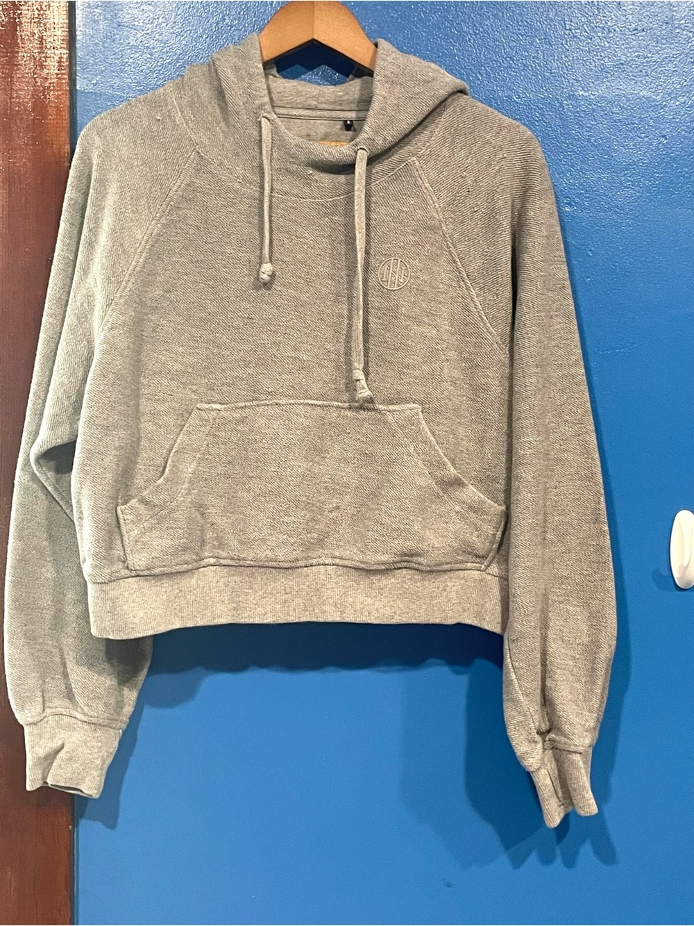 Ninth Hall Women’s Size LGray Cropped Hoodie Sweatshirt with Subtle Chest Emblem